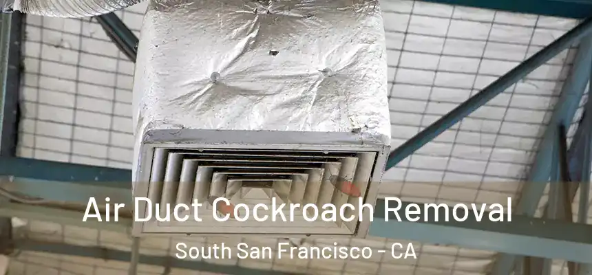 Air Duct Cockroach Removal South San Francisco - CA