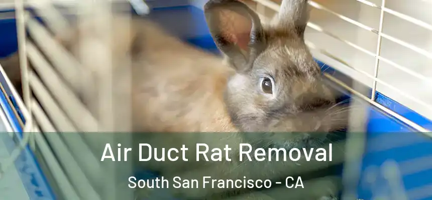 Air Duct Rat Removal South San Francisco - CA