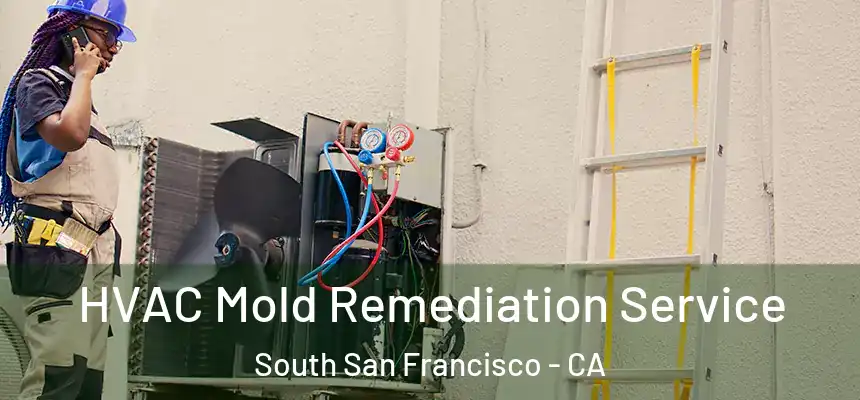 HVAC Mold Remediation Service South San Francisco - CA