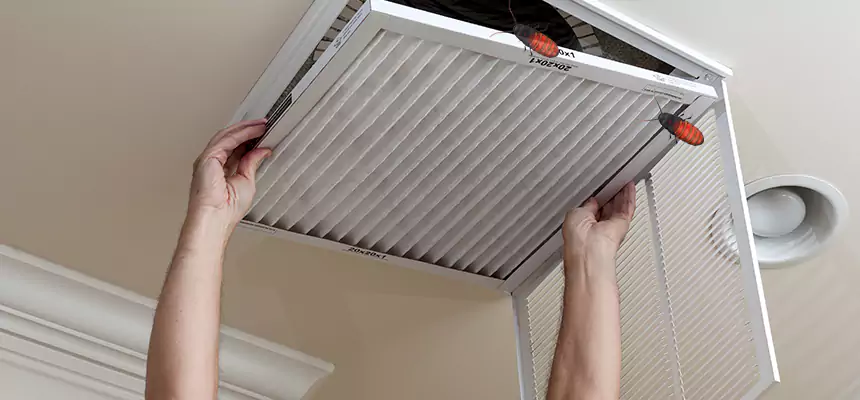 Our Insect Removal from Air Ducts Services in South San Francisco, CA