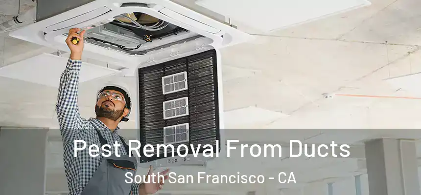  Pest Removal From Ducts South San Francisco - CA