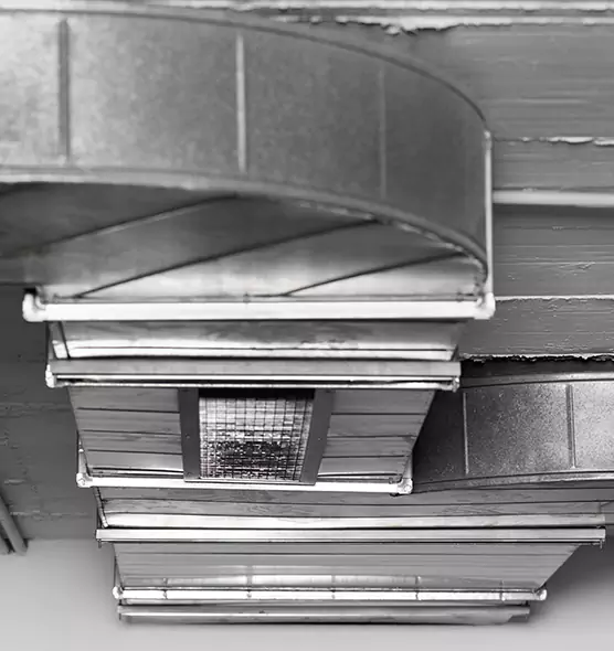 Professional Air Duct Pest Removal in South San Francisco, CA