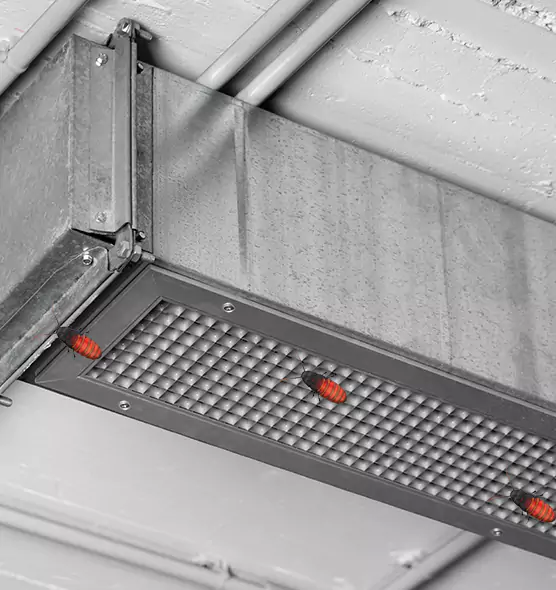 Affordable Insect Removal from Air Ducts in South San Francisco, CA