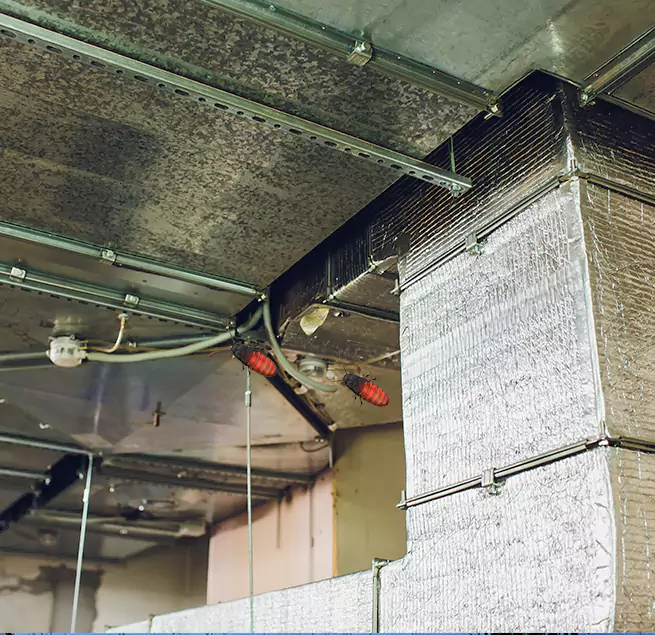 Why Homeowners & Businesses Trust Us in South San Francisco, CA?