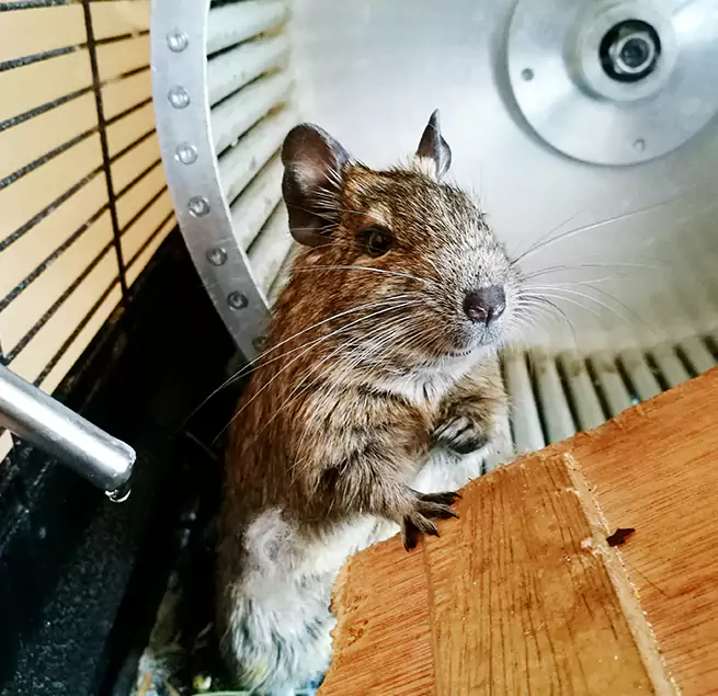 Why Homeowners & Businesses Trust Us South San Francisco, CA